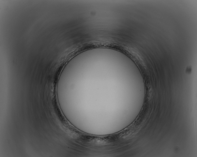 X0000091720498200708241023