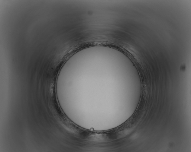 X0000091720499200708241023
