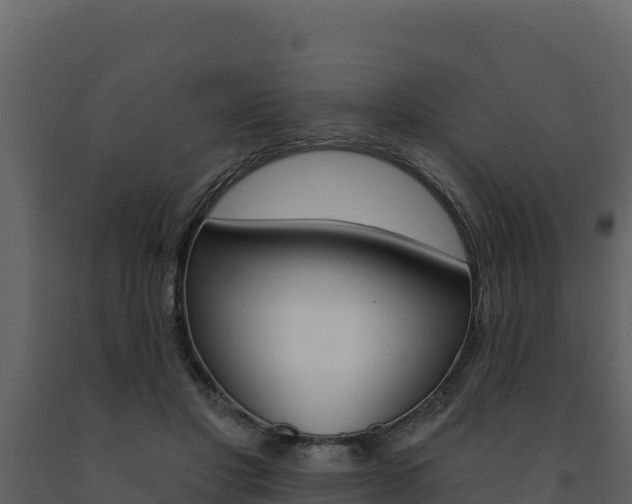 X0000091720501200708241023