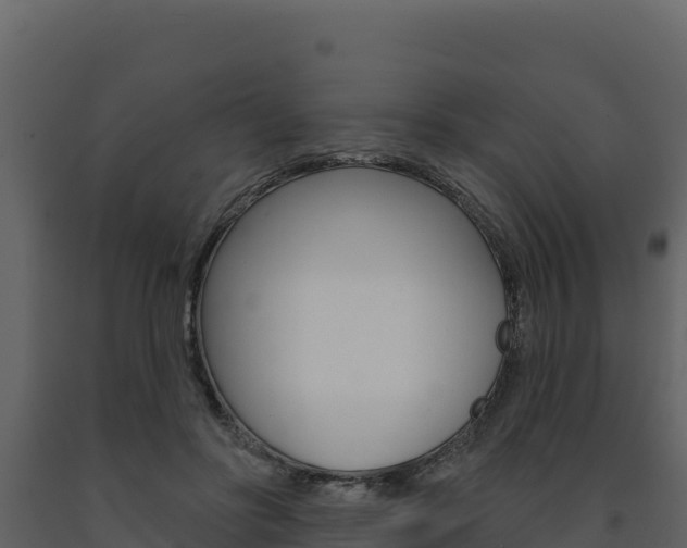 X0000091720502200708241023