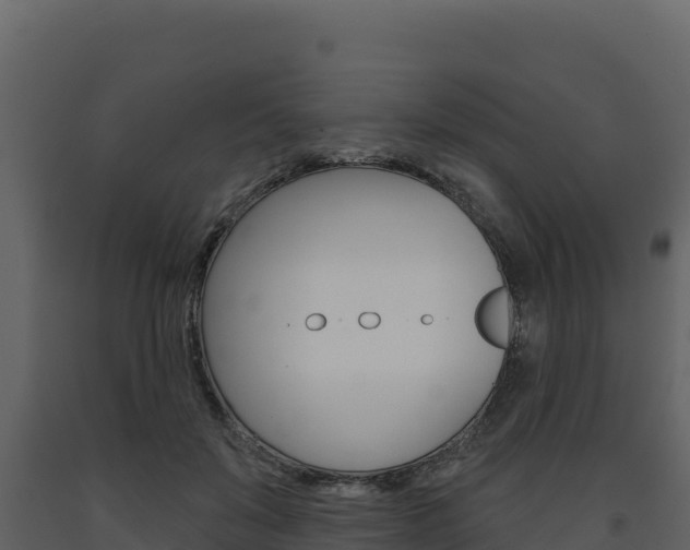 X0000091720503200708241023