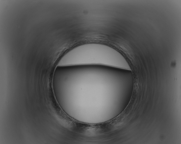 X0000091720504200708241023