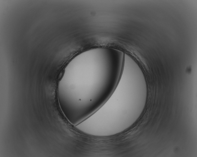 X0000091720505200708241023
