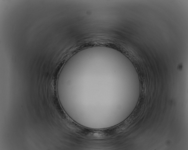 X0000091720506200708241023