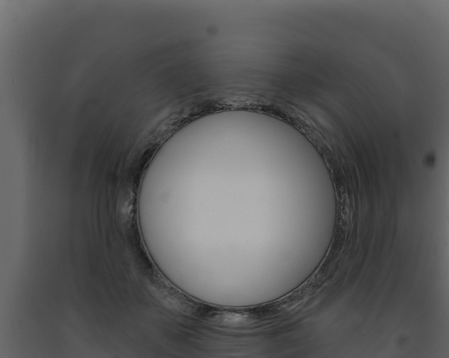 X0000091720507200708241023