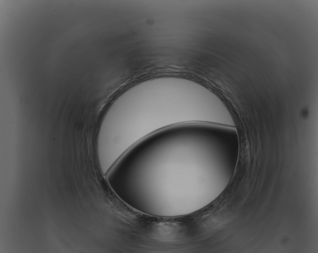 X0000091720508200708241023