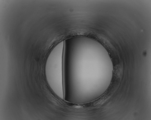 X0000091720509200708241023