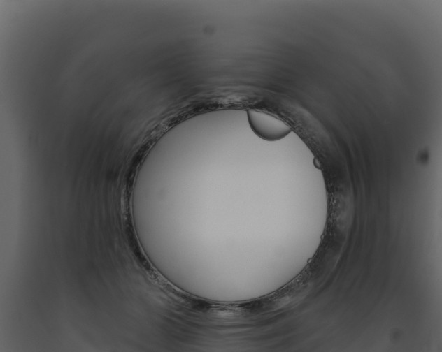 X0000091720510200708241023