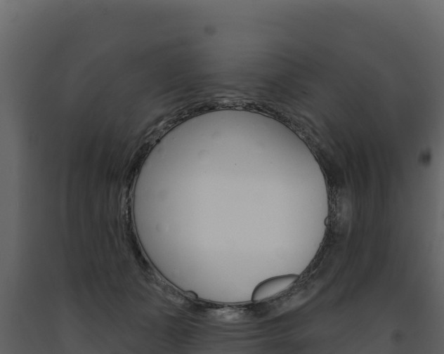 X0000091720511200708241023