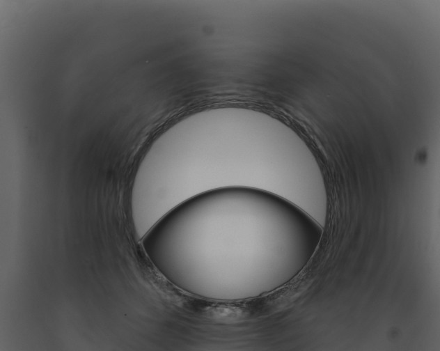 X0000091720512200708241023