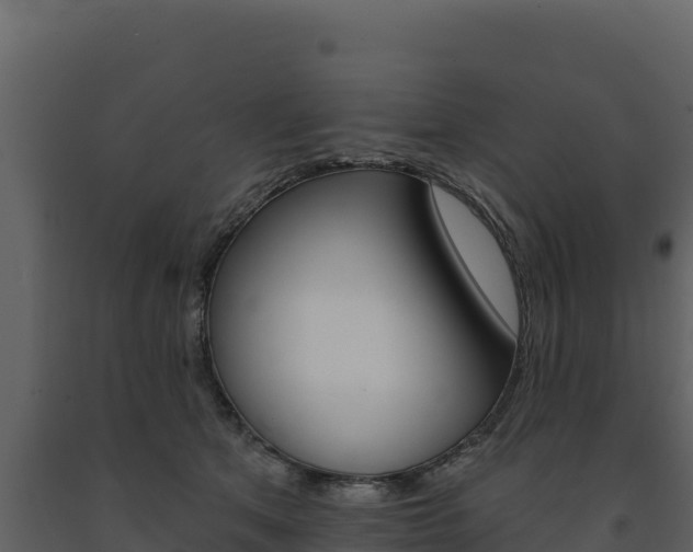 X0000091720513200708241023