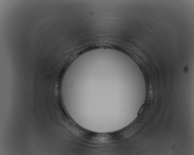 X0000091720514200708241023