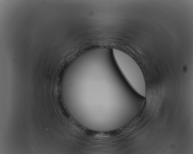 X0000091720515200708241023