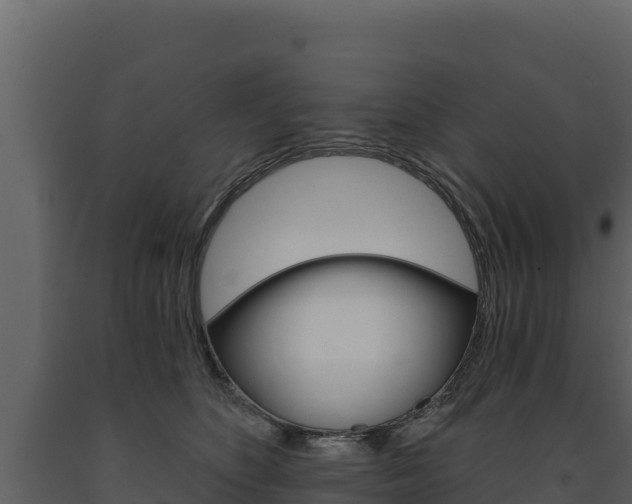 X0000091720516200708241023
