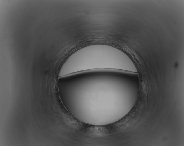 X0000091720517200708241023