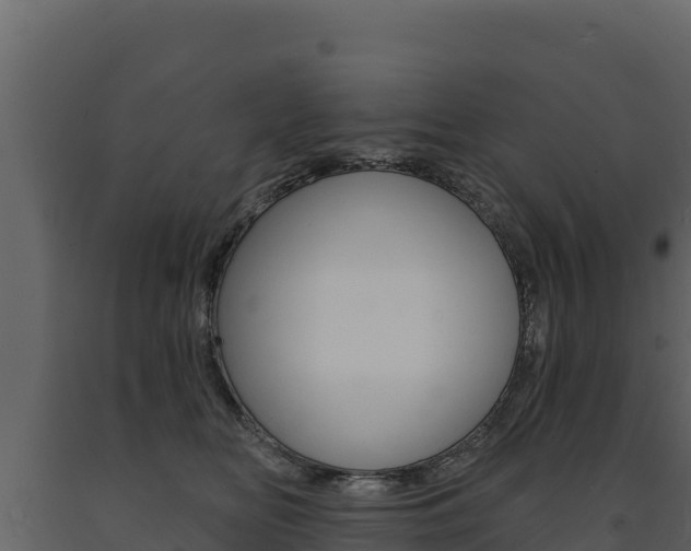 X0000091720518200708241023