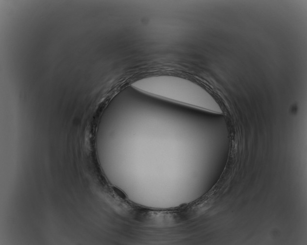 X0000091720520200708241023