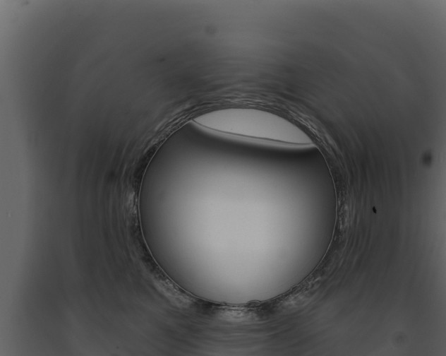 X0000091720521200708241023