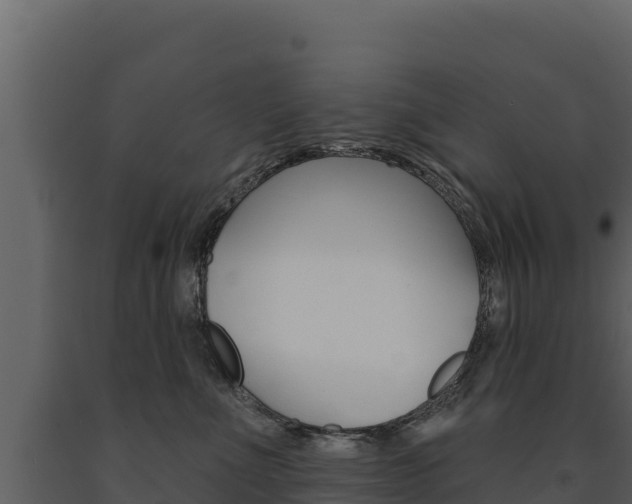 X0000091720523200708241023