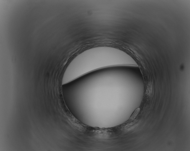 X0000091720524200708241023