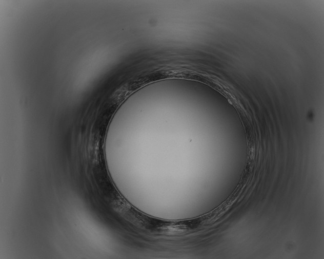 X0000091720525200708241023