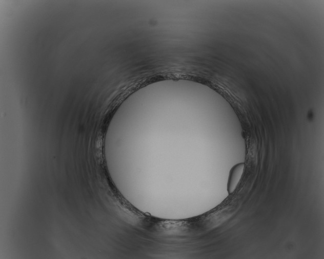 X0000091720526200708241023