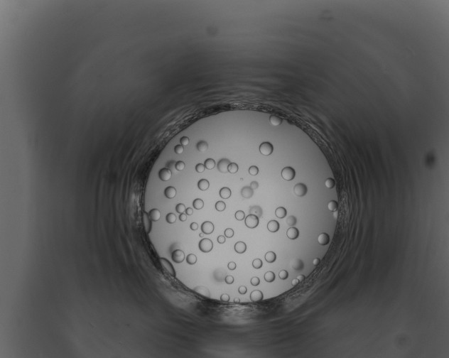 X0000091720527200708241023