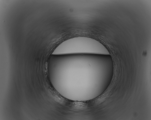 X0000091720528200708241023