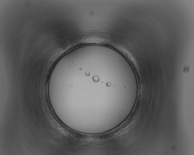 X0000091720529200708241022