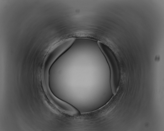 X0000091720530200708241022