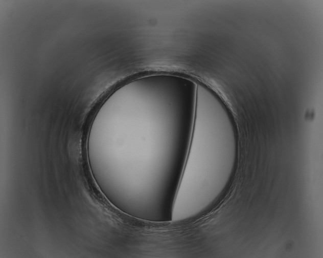 X0000091720531200708241022