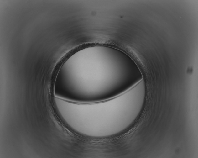 X0000091720532200708241022