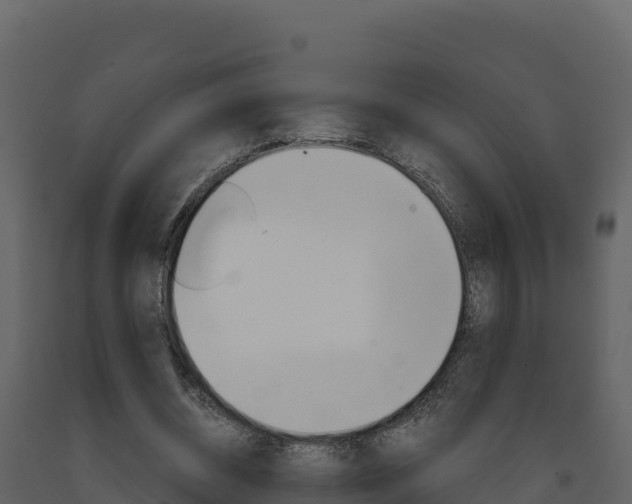 X0000091720534200708241022