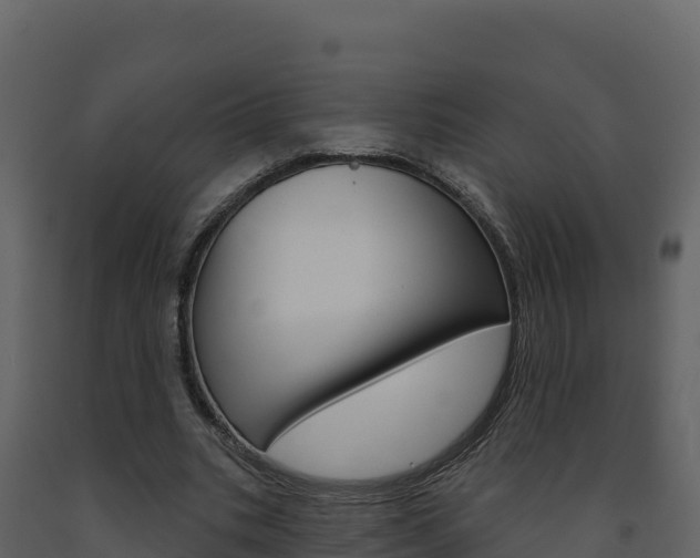 X0000091720535200708241022