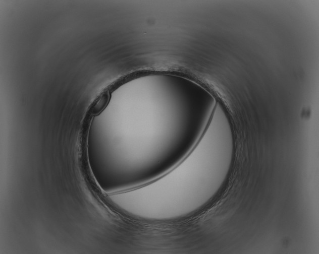 X0000091720536200708241022