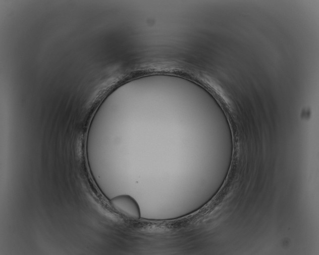 X0000091720537200708241022