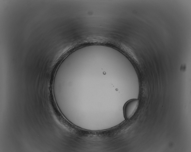 X0000091720538200708241022