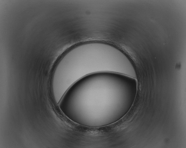 X0000091720540200708241022