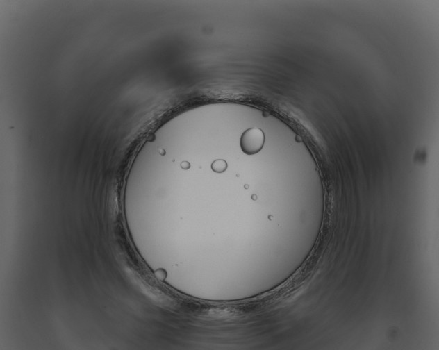 X0000091720541200708241022