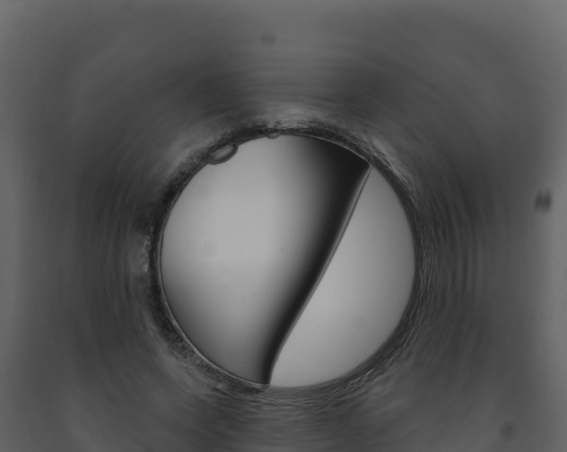 X0000091720543200708241022