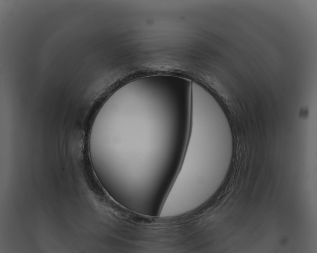 X0000091720544200708241022