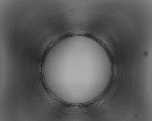 X0000091720545200708241022