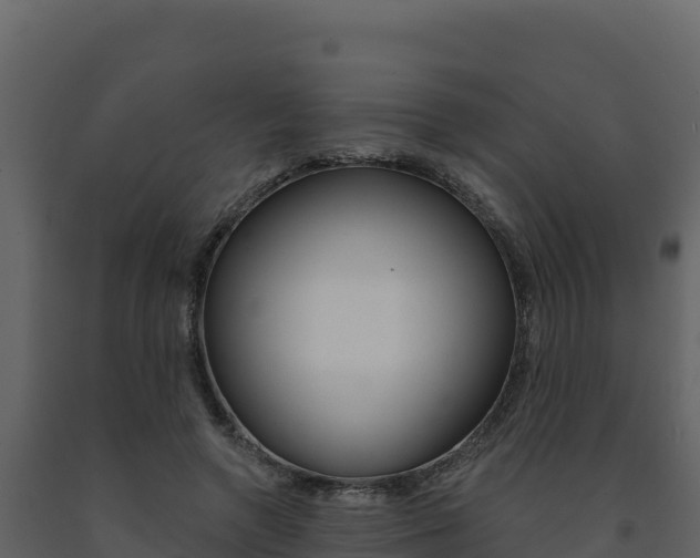 X0000091720546200708241023