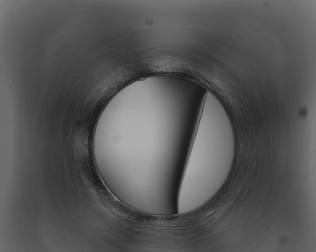 X0000091720547200708241023
