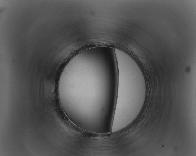 X0000091720548200708241023