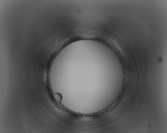 X0000091720549200708241023