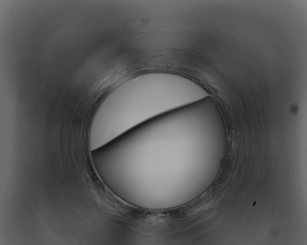 X0000091720550200708241023