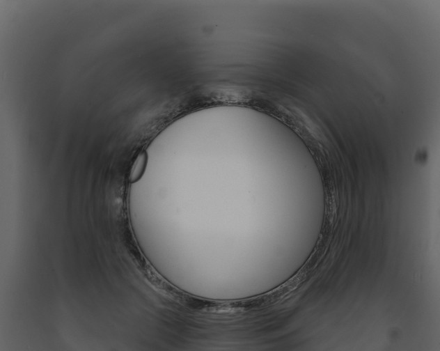 X0000091720553200708241023