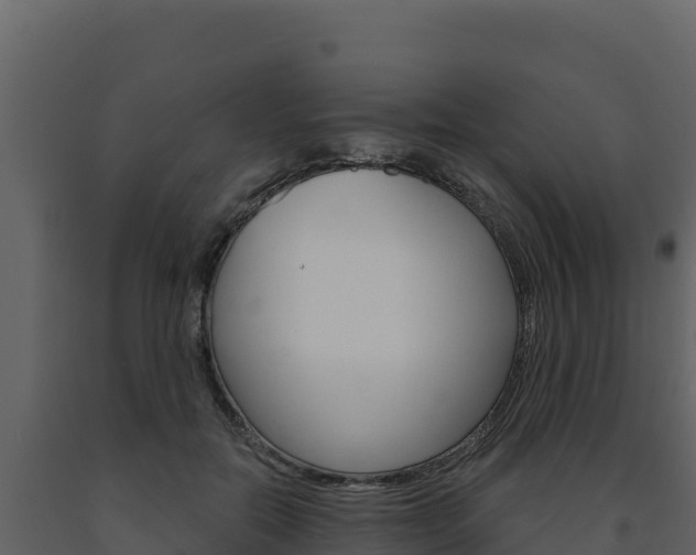 X0000091720554200708241023