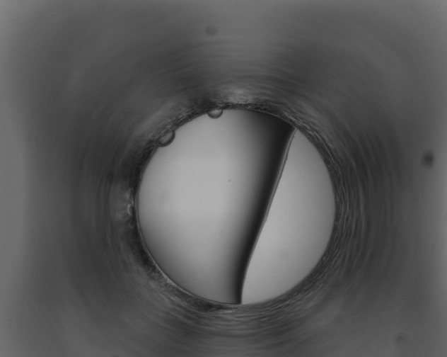 X0000091720555200708241023